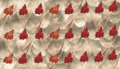 Enseignant trappeur, pourquoi pas !