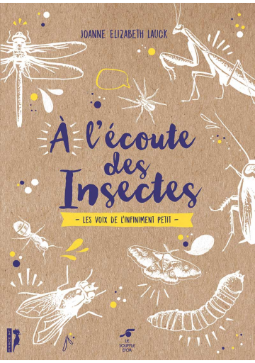 A l’écoute des insectes