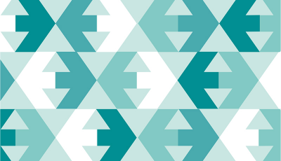 De l’intérieur d’un conseil citoyen