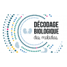 Décodage biologique des maladies