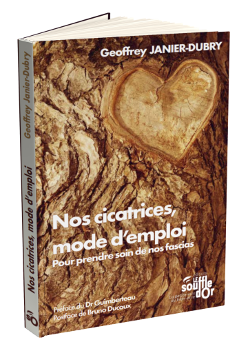 Nos cicatrices, mode d'emploi |Pour prendre soin de nos fascias