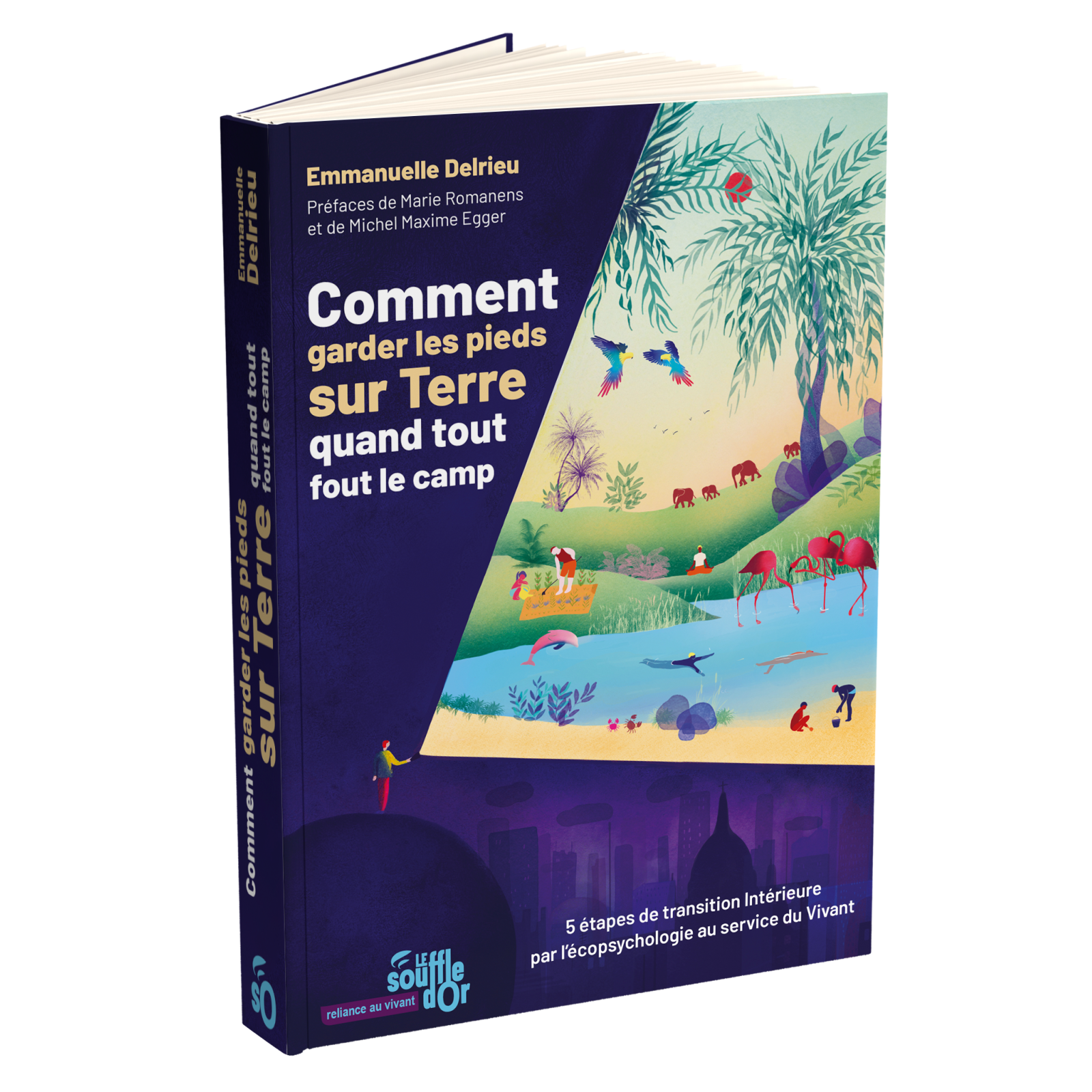 Comment garder les pieds sur Terre quand tout fout le camp (EBOOK)
