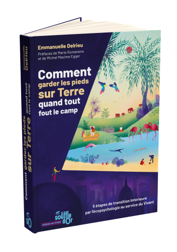 Comment garder les pieds sur Terre quand tout fout le camp (EBOOK)
