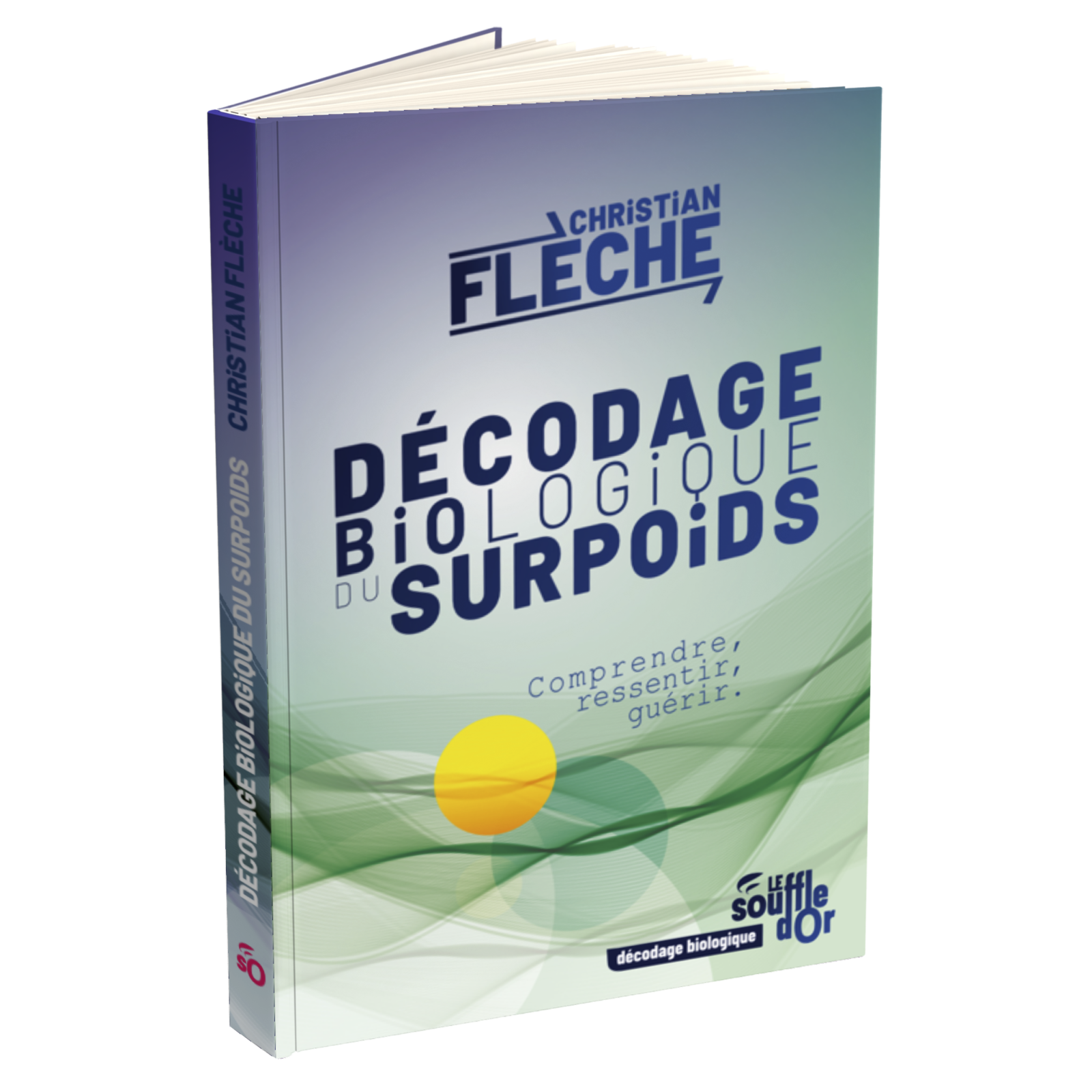 Décodage biologique du surpoids Ebook