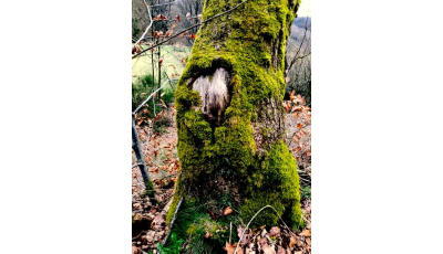 L’entreprise enracinée