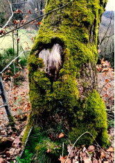 L’entreprise enracinée