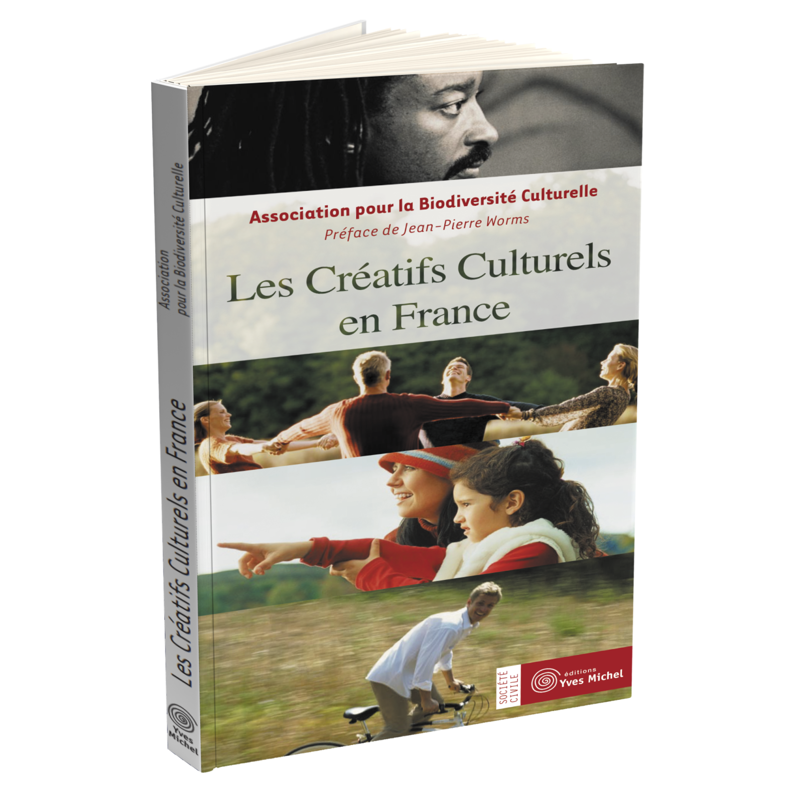 Créatifs Culturels en France (Les )