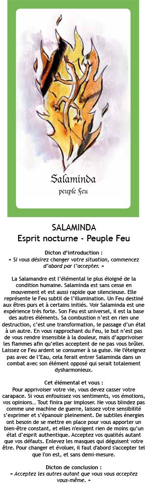 Cartes Esprits de la Nature