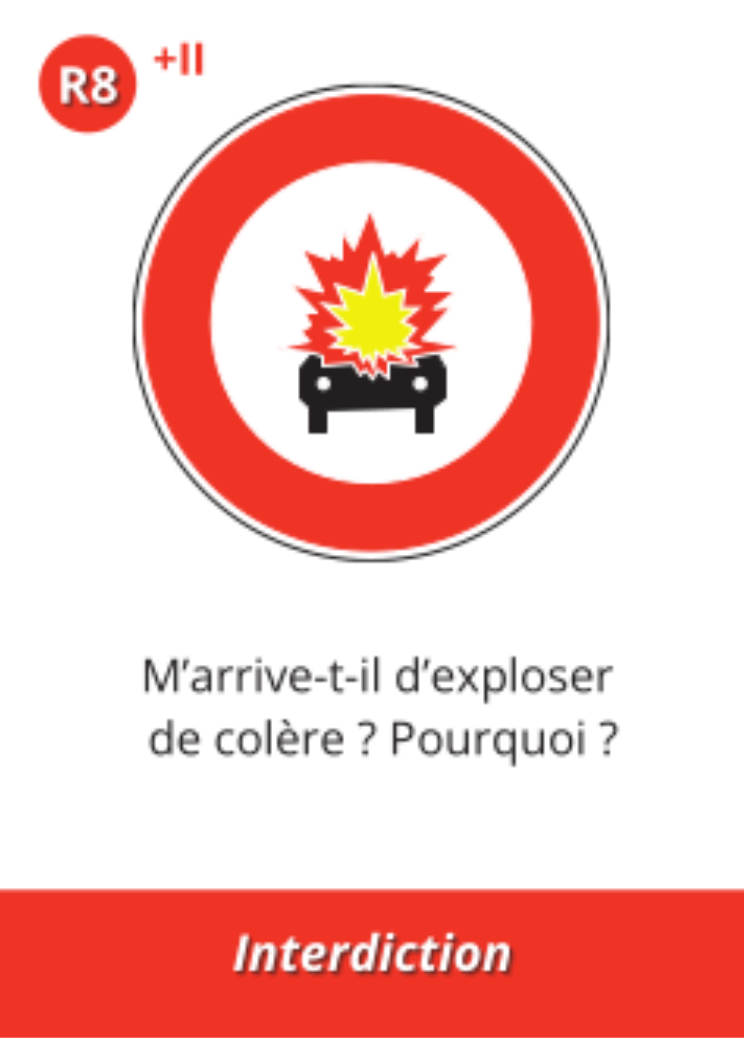 Conduire sa vie - Nouvelle édition 